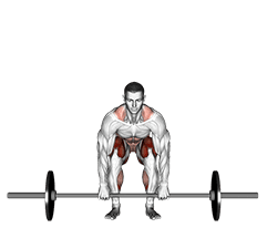 exercise