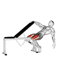 exercise