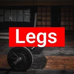 Legs
