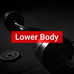 Lower Body