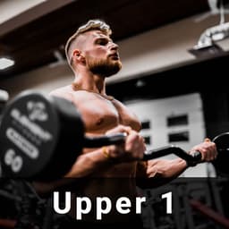 Upper Body 1