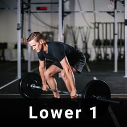 Lower Body 1 + abs