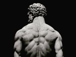 Back & Biceps