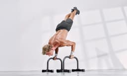 Shoulder Stand Parallettes