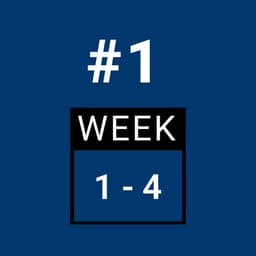 Day 1 - FULL BODY (Week 1-4)