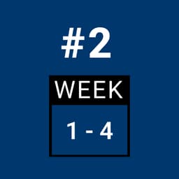 Day 2 - FULL BODY (Week 1-4)