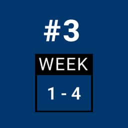 Day 3 - FULL BODY (Week 1-4)