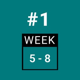 Day 1 - FULL BODY (Week 5-8)