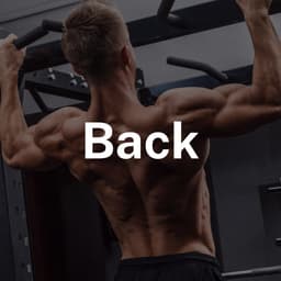 Day 4: Back