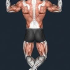 Pull Day