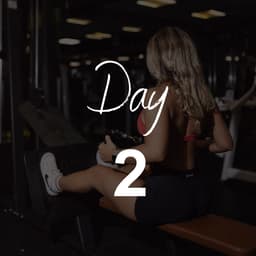 Day 2: Upper Body
