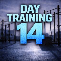 DAY TRAINING 14