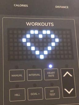 light cardio + stretch