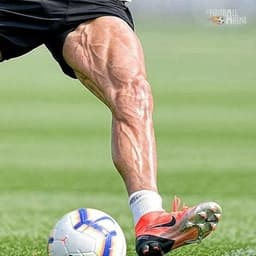 Workout C (Legs)