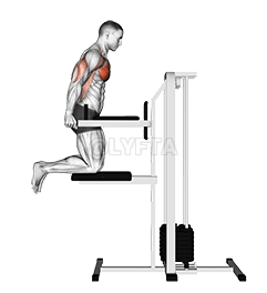 Assisted Chest Dip demonstration