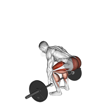 Deadlift