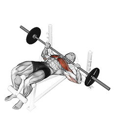 Decline Bench Press