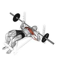 Image of Decline Bench Press