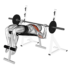 Tolak Tekan Cengkaman Lebar demonstration