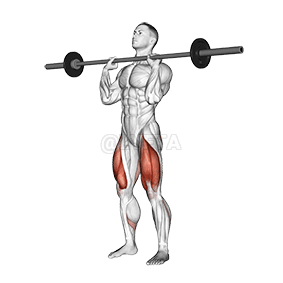 Front Chest Squat demonstration