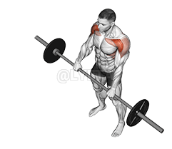 Barbell Front Raise