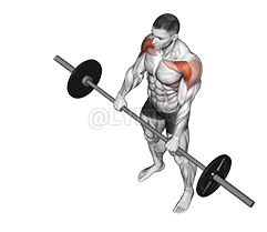 Image of Barbell Front Raise