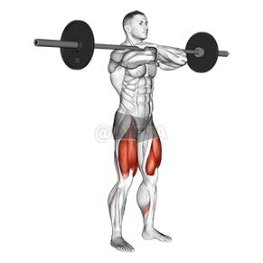 Image of Front Squat