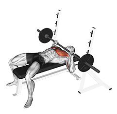 Barbell Guillotine Bangku Press demonstration