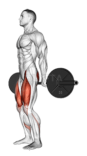 Image of Barbell Hack Squat