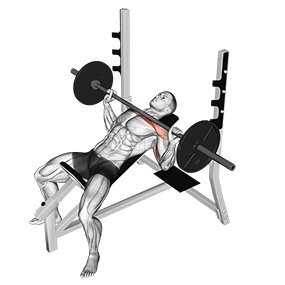 Incline Bench Press