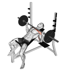 Image of Incline Bench Press