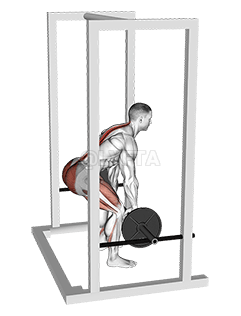 Image of Barbell Rack Pull
