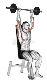 Thumbnail for the video of exercise: Barbell Seated Bradford Rocky Press