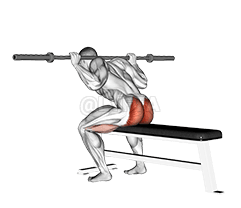 Seated Good morning demonstration