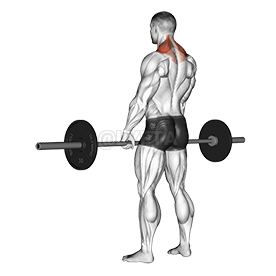 Image of Barbell Shrug