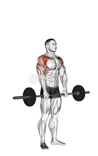 Barbell Standing Front Raise Over Head demonstration