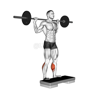 Standing Leg Calf Raise