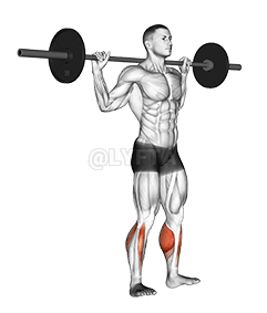 Thumbnail for the video of exercise: Barbell Standing Rocking Leg Calf Raise