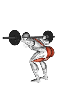 Thumbnail for the video of exercise: Barbell Stiff Leg Good Morning
