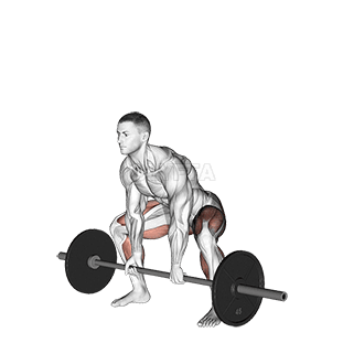 Image of Sumo Deadlift