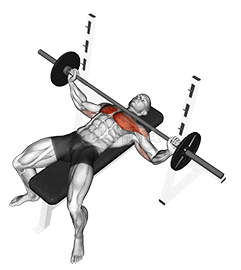 Penekan Bangku Lebar Barbell demonstration