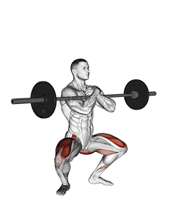 Barbell Zercher Squat