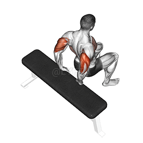 Thumbnail for the video of exercise: Banc Dip (Bankɛ Dip).