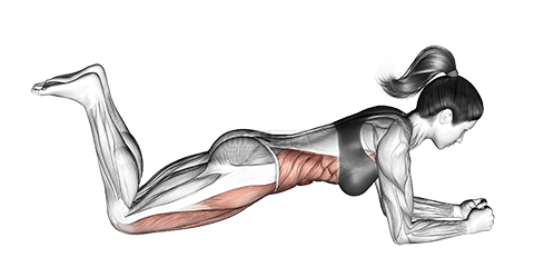 Bridge demonstration