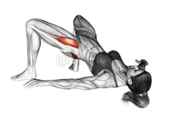 Bridge Hip Abduction demonstration