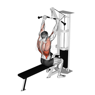 Image of Bar Lateral Pulldown