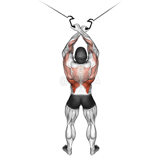 Cross-over Lateral Pulldown demonstration