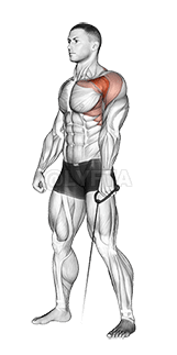 Cable Forward Raise demonstration