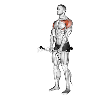Cable Front Raise demonstration