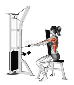 Cable Front Seated Row demonstration